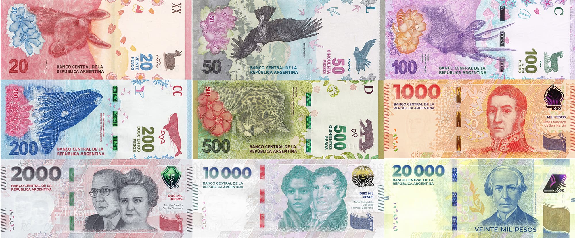 Banknotes Argentina currency in 2025