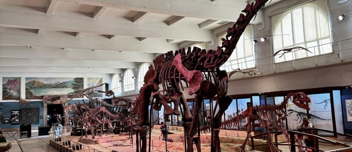 Museum Bernardino Rivadavia of Natural Science