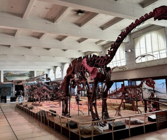 Museu de Ciências Naturais Bernardino Rivadavia: O Museu Mais Subestimado de Buenos Aires